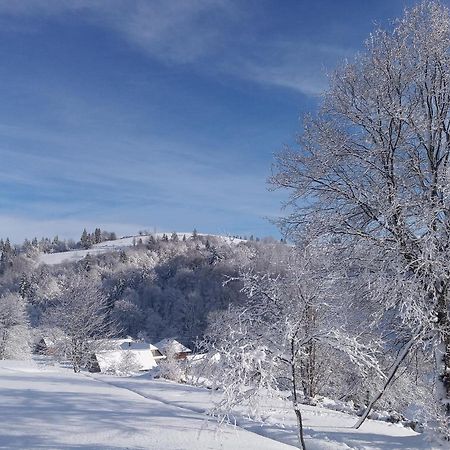 Верховинський Котедж Bukovets Dış mekan fotoğraf