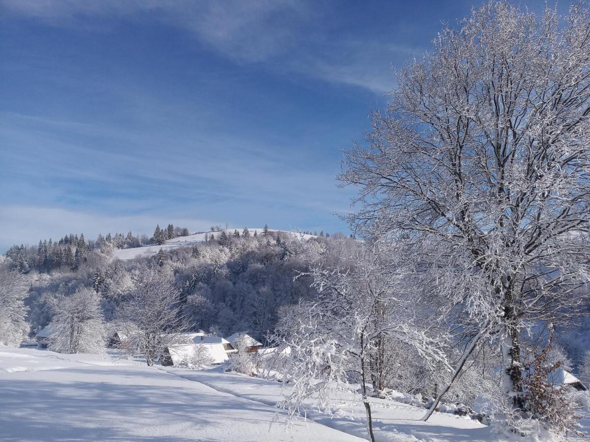 Верховинський Котедж Bukovets Dış mekan fotoğraf