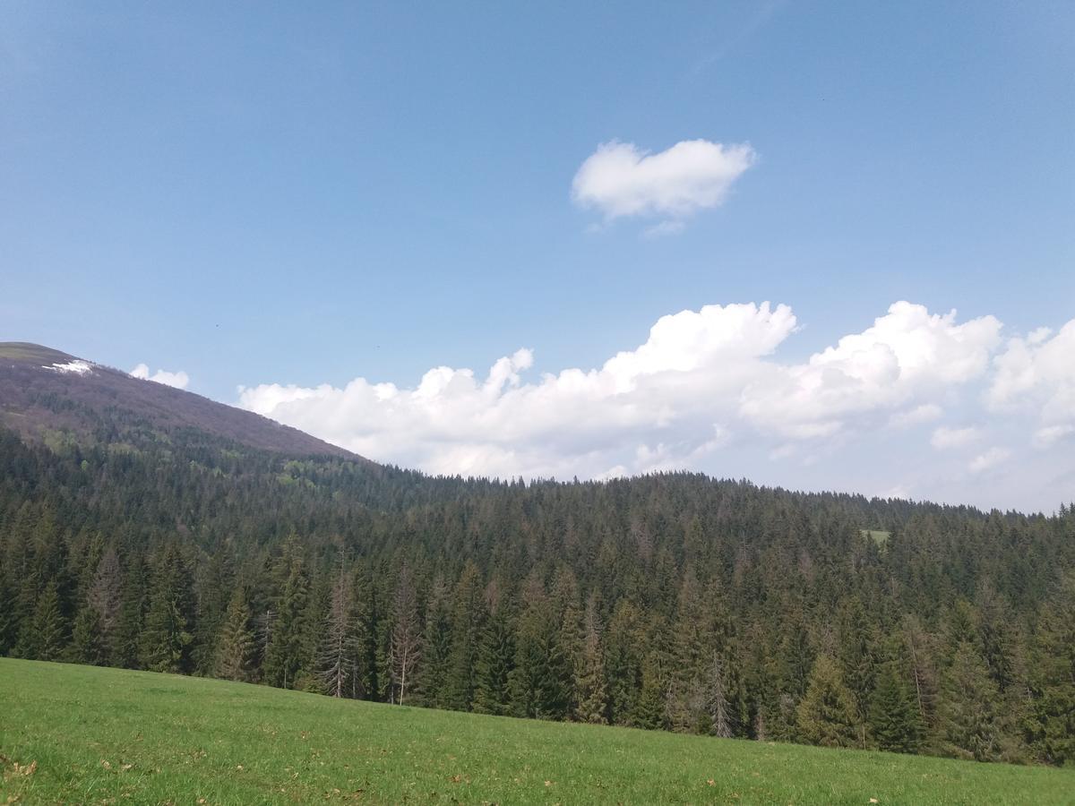 Верховинський Котедж Bukovets Dış mekan fotoğraf