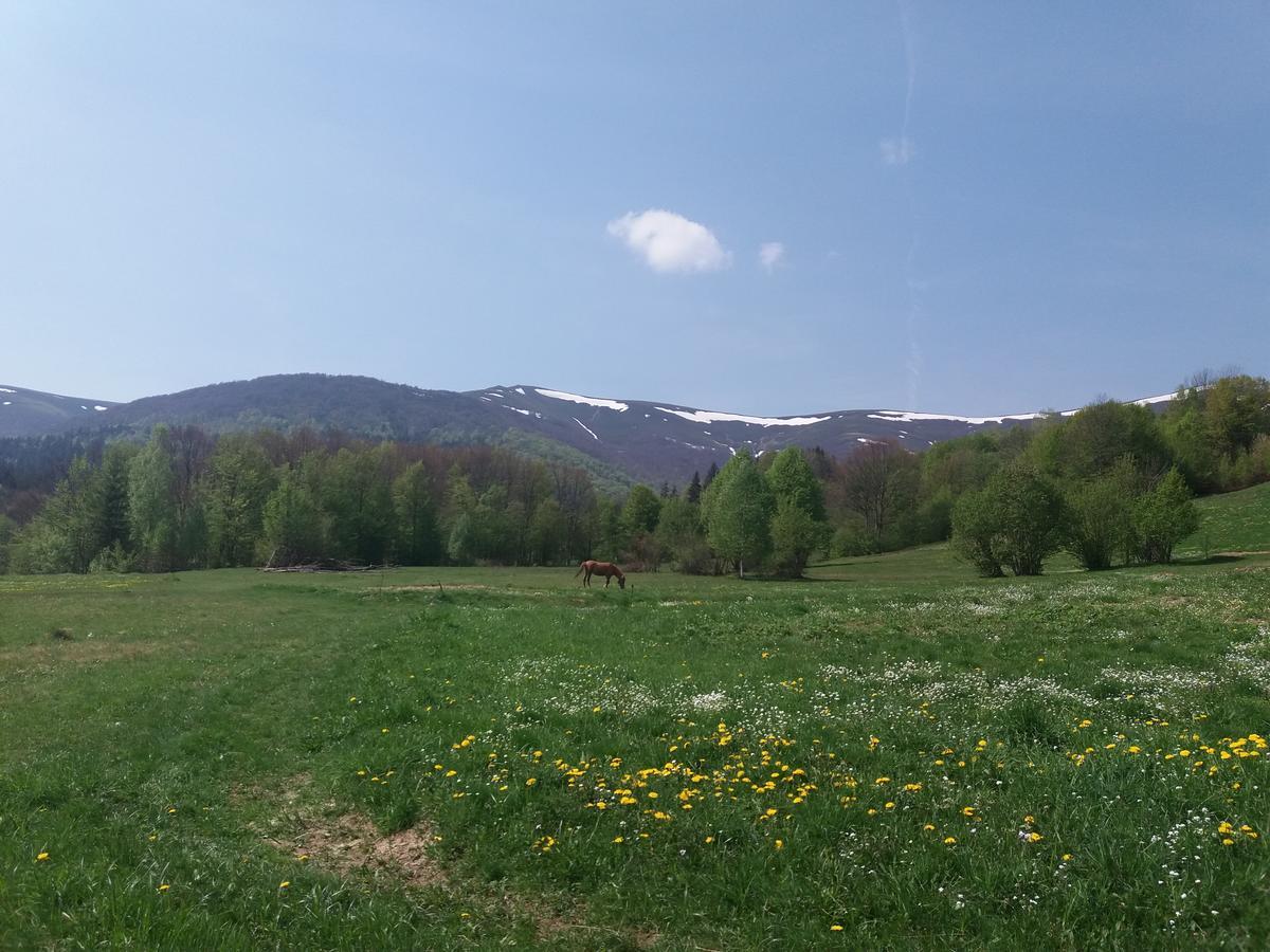 Верховинський Котедж Bukovets Dış mekan fotoğraf