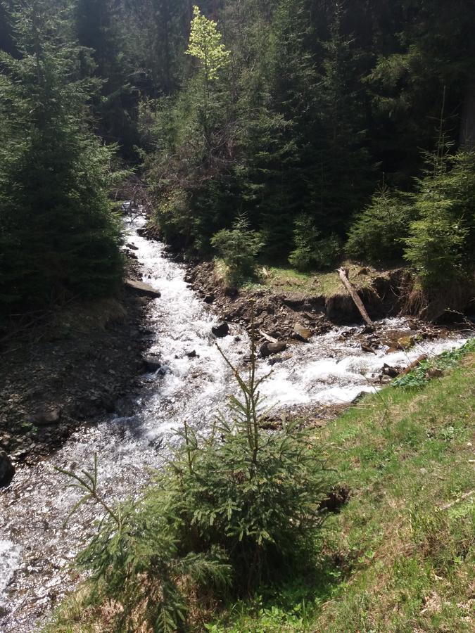 Верховинський Котедж Bukovets Dış mekan fotoğraf