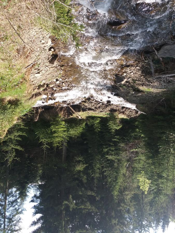 Верховинський Котедж Bukovets Dış mekan fotoğraf