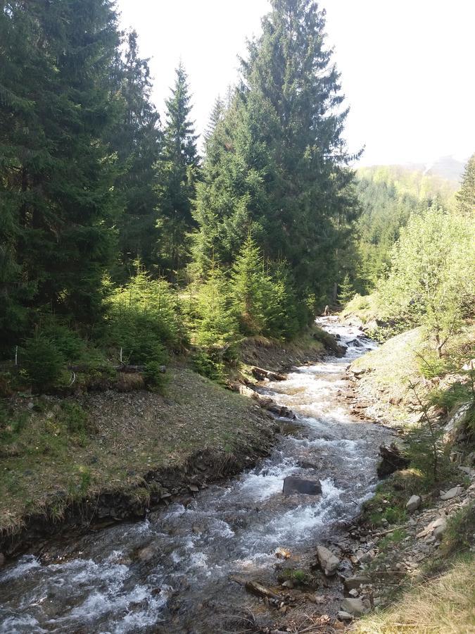 Верховинський Котедж Bukovets Dış mekan fotoğraf
