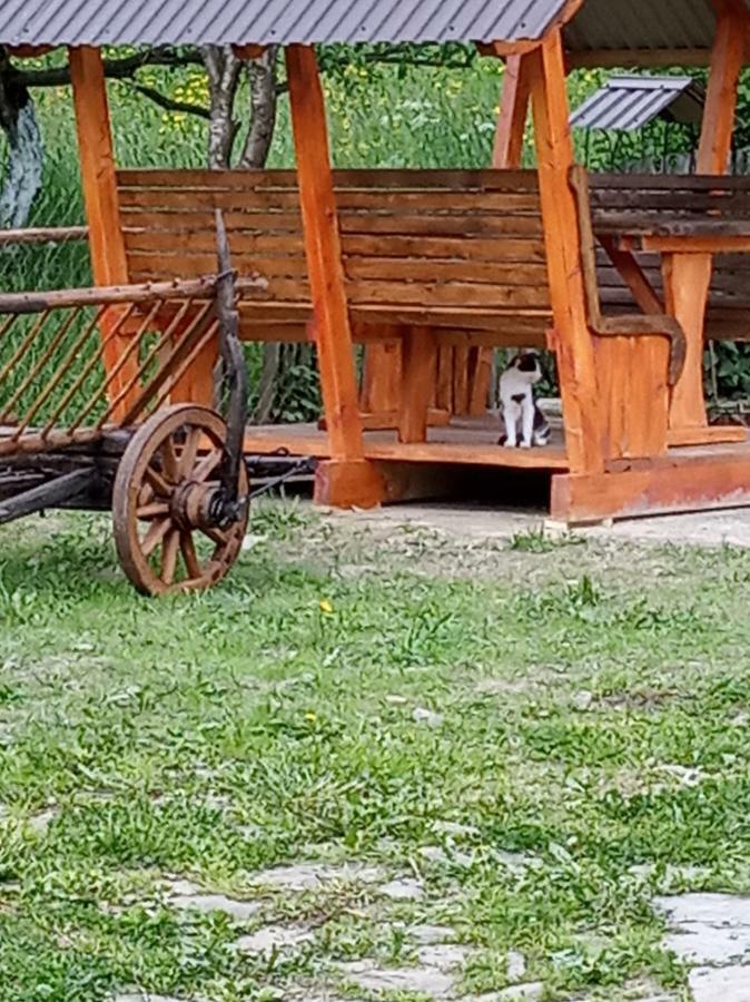 Верховинський Котедж Bukovets Dış mekan fotoğraf