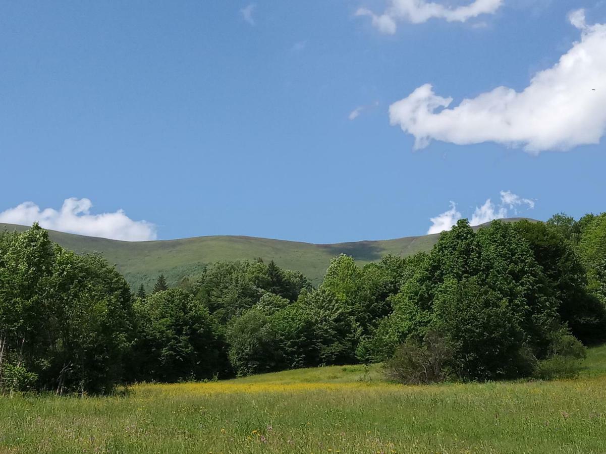 Верховинський Котедж Bukovets Dış mekan fotoğraf